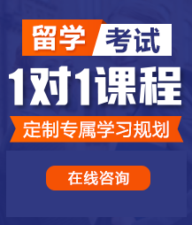 骚货跪下添几把留学考试一对一精品课